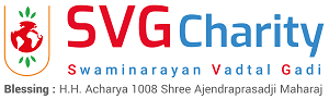 SVG Charity