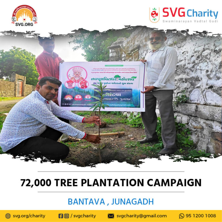SVG Charity 72000 Tree Plantation Campaign – Bantava Ta. Manavadar Di. Junagadh Aug 2021