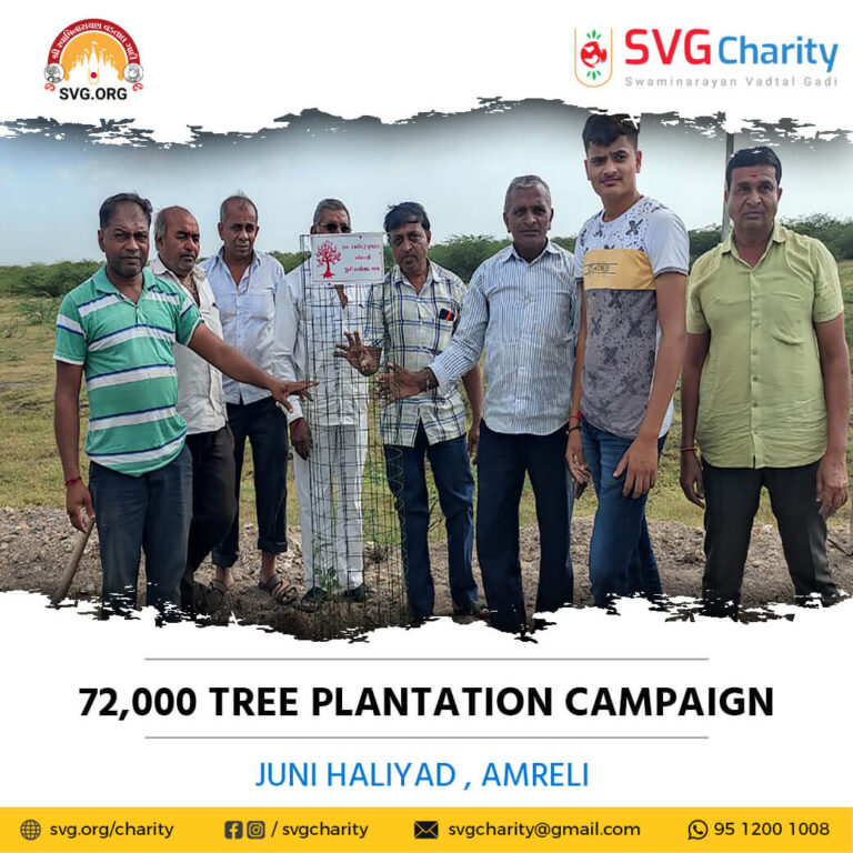 SVG Charity 72000 Tree Plantation Campaign – Juni Haliyad Ta. Bagasara Di. Amreli Aug 2021