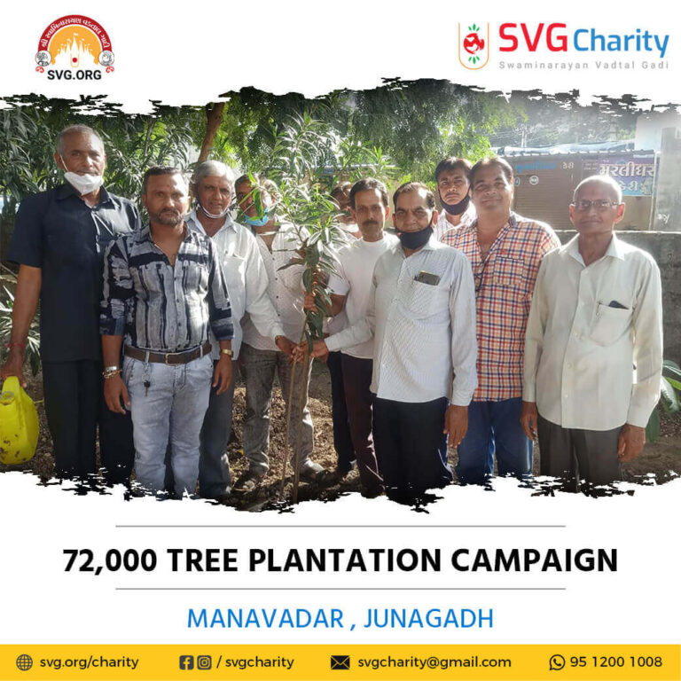 SVG Charity 72000 Tree Plantation Campaign – Manavadar Junagadh Aug 2021 7
