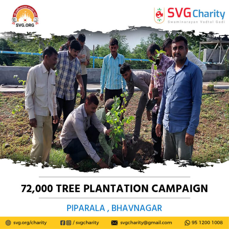 SVG Charity 72000 Tree Plantation Campaign – Piparala Dist. Bhavnagar Aug 2021