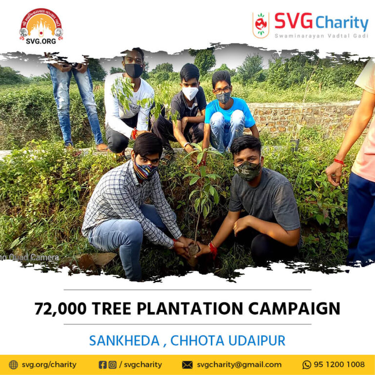 SVG Charity 72000 Tree Plantation Campaign – Sankheda Dist. Chhota Udaipur Aug 2021 1