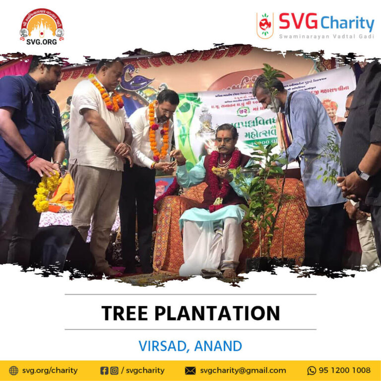 SVG Charity 72000 Tree Plantation Campaign – Virsad Anand 26 Sep 2021 1