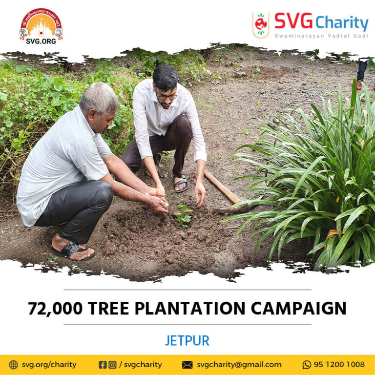 SVG Charity 72000 Tree Plantation Campaign – Jetpur Gujarat 10 Oct 2021 9