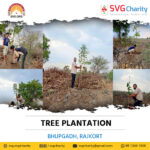 Bhupgadh,Rajkort : Tree Plantation | 26 June 2022