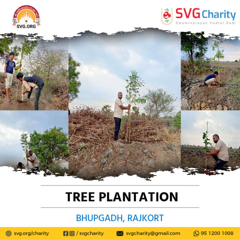 BhupgadhRajkort Tree Plantation 26 June 2022 2