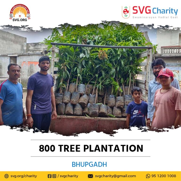 Tree Plantation Bhupgadh